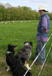 Paula and her two attentive dogs